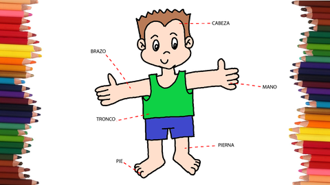 COMO DIBUJAR LAS PARTES DEL CUERPO HUMANO