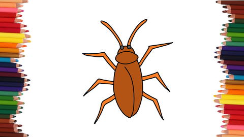 COMO DIBUJAR UNA CUCARACHA